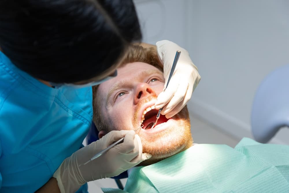 how much is the dental check up